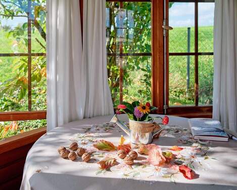 Gartenpavillon - 
