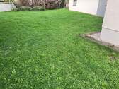 Gartenaneil - 3 Zimmer Etagenwohnung in Erlangen