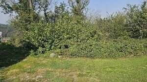 Platzhalter - Sonniges Hanggrundstück in 77797 Ohlsbach zu verkaufen