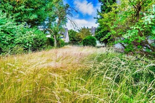 Garten und Grundstück - Neuer Preis: Grundstück in Top-Lage von Kladow.