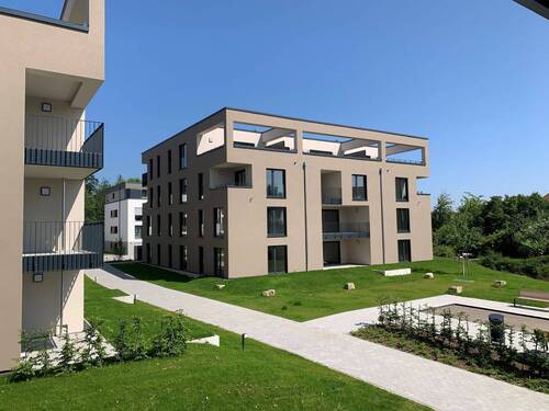 Blick auf Haus 3 - 2 Zimmer Etagenwohnung zur Miete in Calw