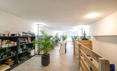 Flur - 