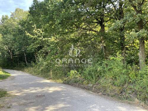 Gleich hinter dem MFH begoinnt die Natur - 