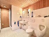 Ansprechendes WC mit Dusche im Kellergeschoss - 