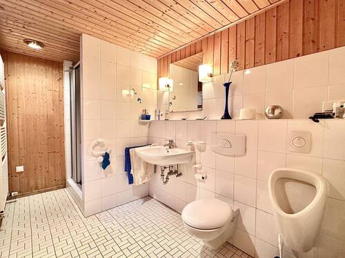 Ansprechendes WC mit Dusche im Kellergeschoss - 