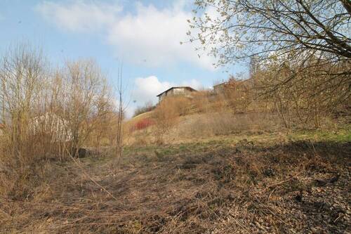 Ansicht 1 - Bauträger aufgepasst! Passau-Nähe Zentrum: 2.725 m² Grund, Hanglage, 535.000,- €