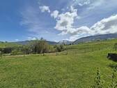 Blick von der Terrasse - 