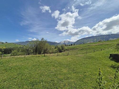 Blick von der Terrasse - 