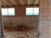 Stall.Innen5a.jpg - 