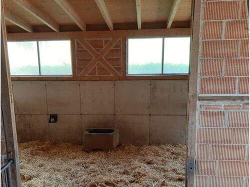 Stall.Innen5a.jpg - 