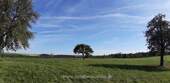 Weide.jpg - 