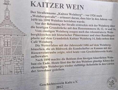 Information zum Kaitzer Wein - 