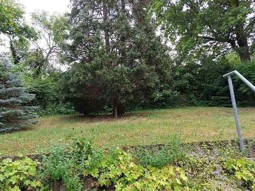 Gartenbereich im Sommer - 