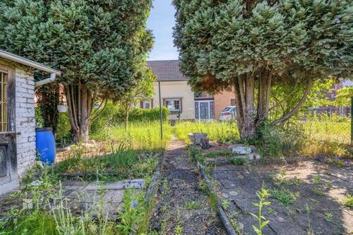 Garten mit Hausansicht - 