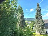 Ausblick - Einfamilienhaus mit 226,00 m² in Wehingen zum Kaufen