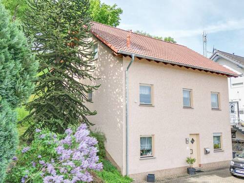Ansicht - 6 Zimmer Mehrfamilienhaus, Wohnhaus zum Kaufen in Siegen