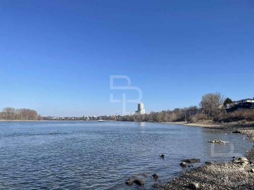 Den Rhein vor der Tür! - 