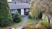 Gartenhaus - 