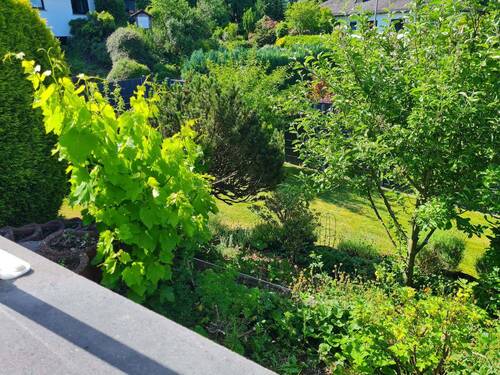 Blick in den Garten - 