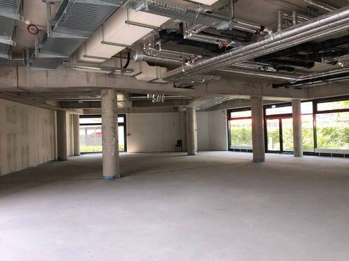 IMG_5177.JPG - Büro in Dresden