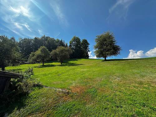 Garten hinterm Haus.JPG - 6 Zimmer Einfamilienhaus zum Kaufen in Schönberg