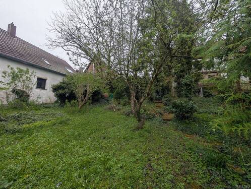 Garten - 