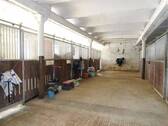 Stallgasse mit Pferdeboxen - 