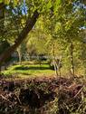 Bild 1 - Schöner Bauplatz (Baulücke) und eine großzügige Fläche Gartenland 2.824m² in der Natur. 2 Flurstücke
