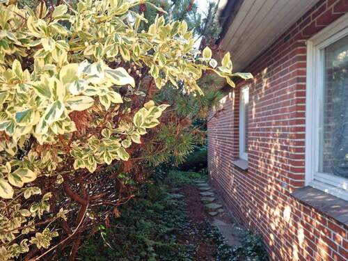 Seitenansicht - 3 Zimmer Einfamilienhaus in Husum