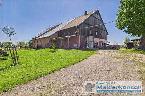 Objekt Frontansicht - 5 Zimmer Doppelhaushälfte in Waren