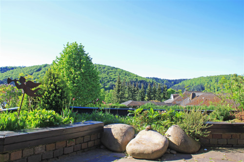 Terrassen-Ausblick in die Natur - 