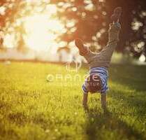 *** Traumhaftes Grundstück * Bauträgerfrei * Grundstücksgröße variabel *** - Merseburg / Geusa