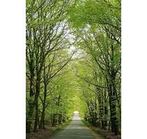 Provisionsfrei - Großzügig Wohnen auf ca. 118 m² mit Balkon, Terrasse & Garten! - Radeberg Ullersdorf