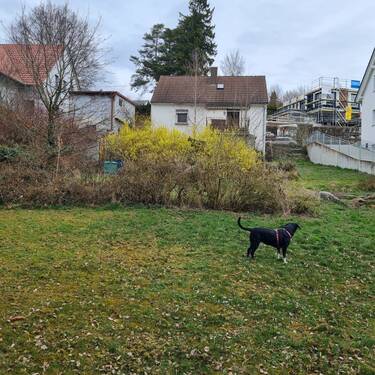 Gartenansicht mit Blick zum Haus - 