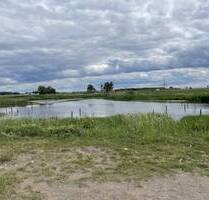 Helle 2-Zimmer Wohnung im EG mit Terrasse und Einbauküche - Fürth Braunsbach