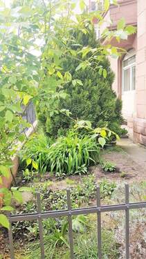 Vorgarten - 