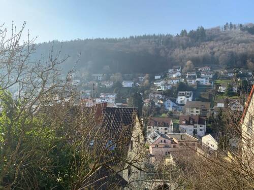 Ausblick vom Freisitz - 