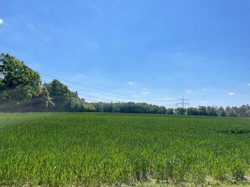 Blick über die Felder von Balkon _EG ETW Waldhufe - Sonntag 07.09. Punktbesichtigung um 15 Uhr - Natur vor der Tür und ein wunderschöner Blick über die Felder!