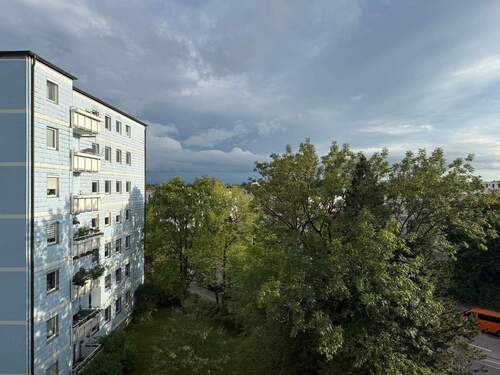 alter Baumbestand - 
