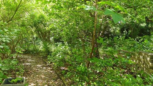 Garten - 