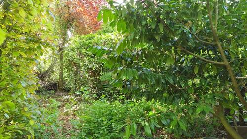 Garten - 