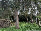 Teilansicht - Grundstück in Petershagen-Eggersdorf
