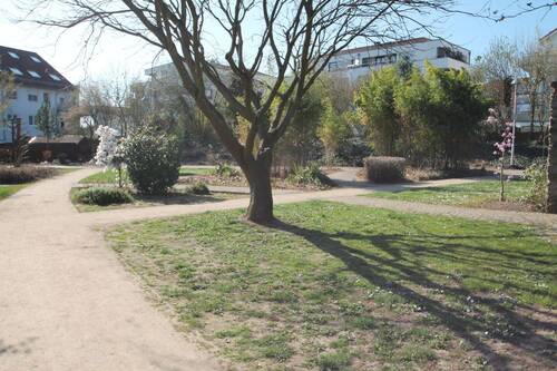 Parkanlage - 