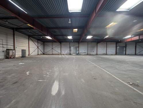 PXL_20260304_101942095~2 - Halle zur Miete in Hamburg