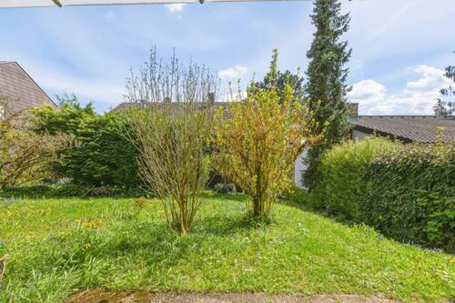 Gemeinschaftsgarten - 