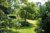 Garten - 