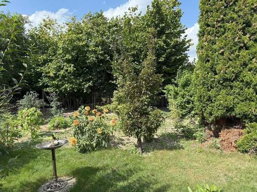 grüne Oase - Doppelhaushälfte mit 120,00 m&sup2; in Seelow zum Kaufen