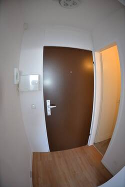 Diele - 