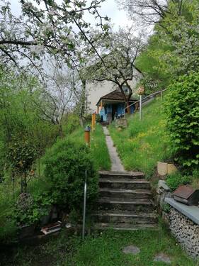 Bild 10 - 