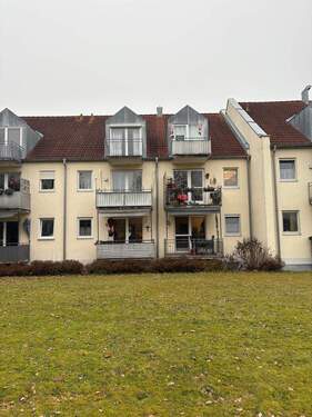 WhatsApp Image 2025-12-04 at 17.05.50 (12).jpeg - 